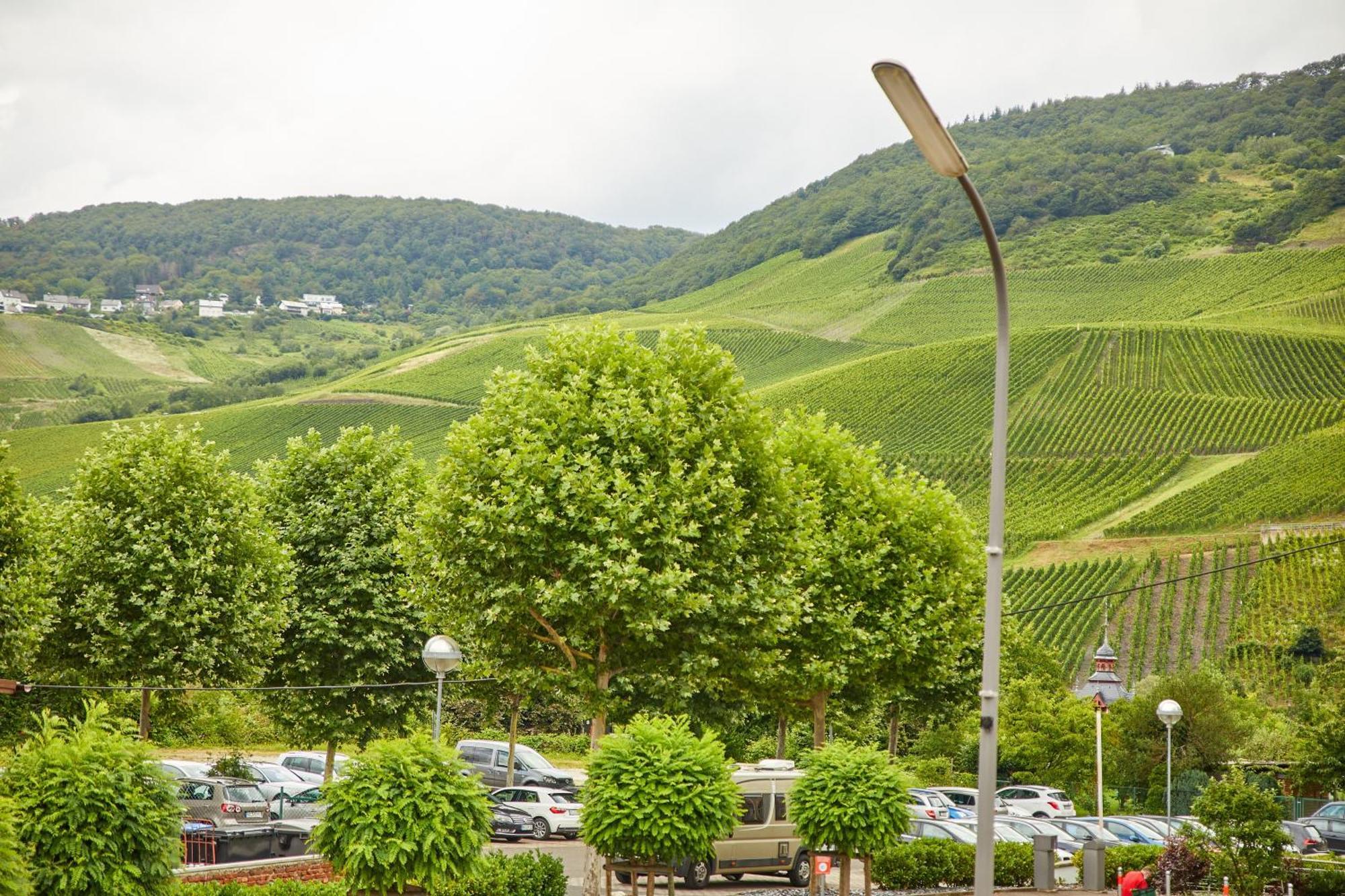 Baron Apartman Bernkastel-Kues Kültér fotó
